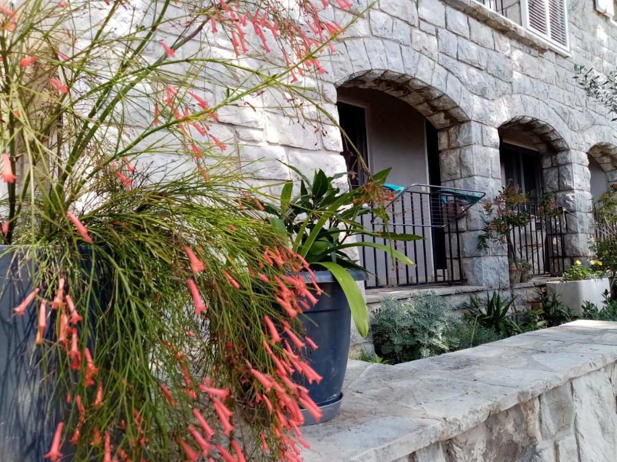 Apartment Zizi Omiš Kültér fotó
